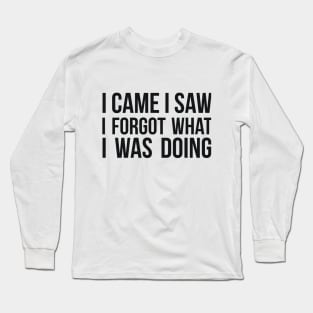 I Came I Saw I Forgot What I was Doing humor joke quote Long Sleeve T-Shirt